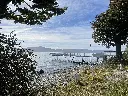 IMG_3055.webp