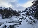 arroyo subiendo al vinci.webp