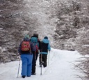 Camino hacia Laguna Esmeralda