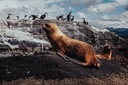 Navegación Yate