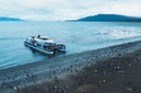 Penguin Navigation