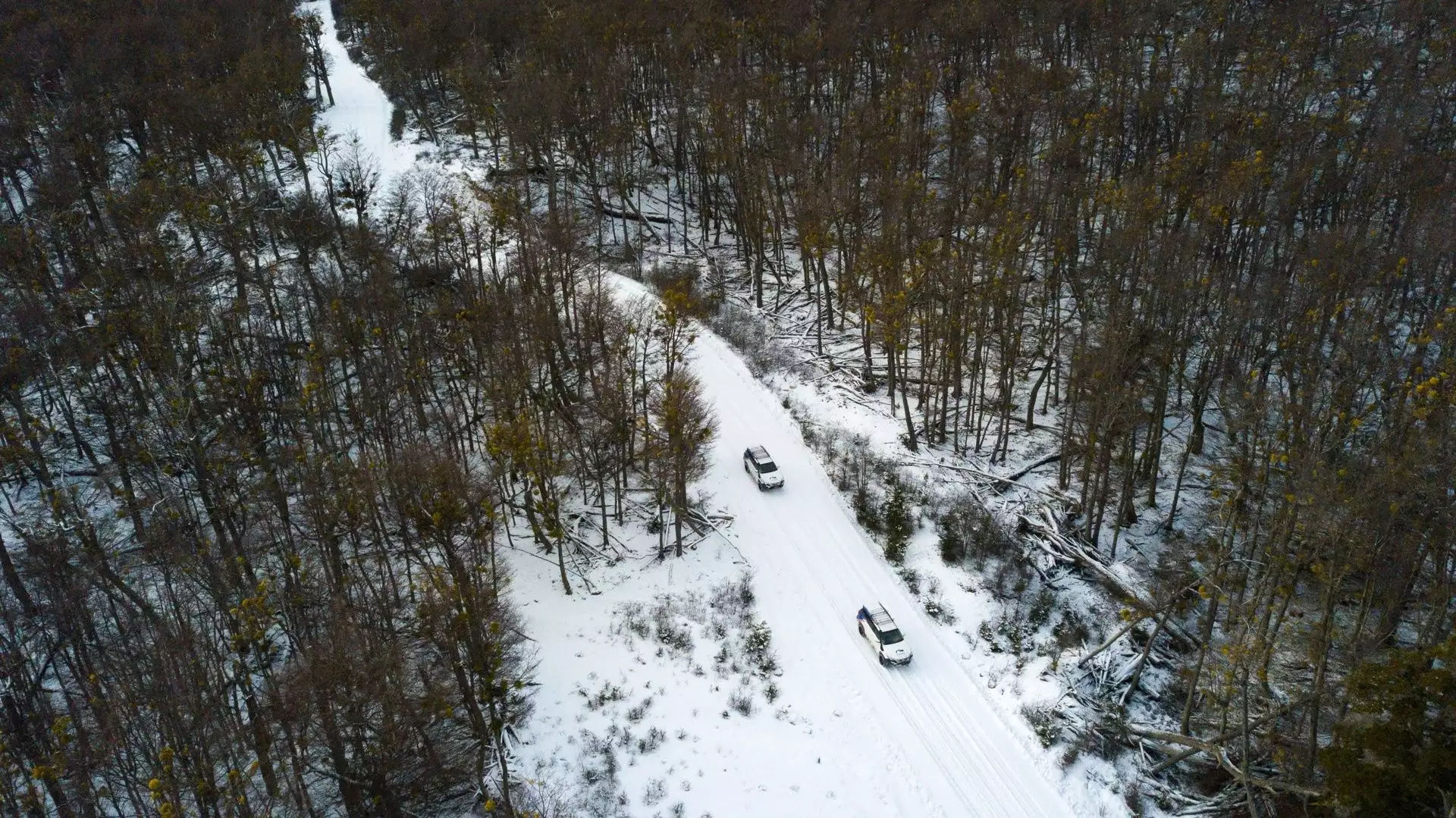 Lagos Escondido & Fagnano 4×4 Invernal  (Adulto mayor de 12 años)